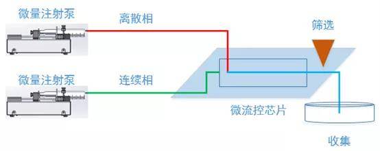 微流控單細(xì)胞分析 實(shí)驗(yàn)室微量注射泵